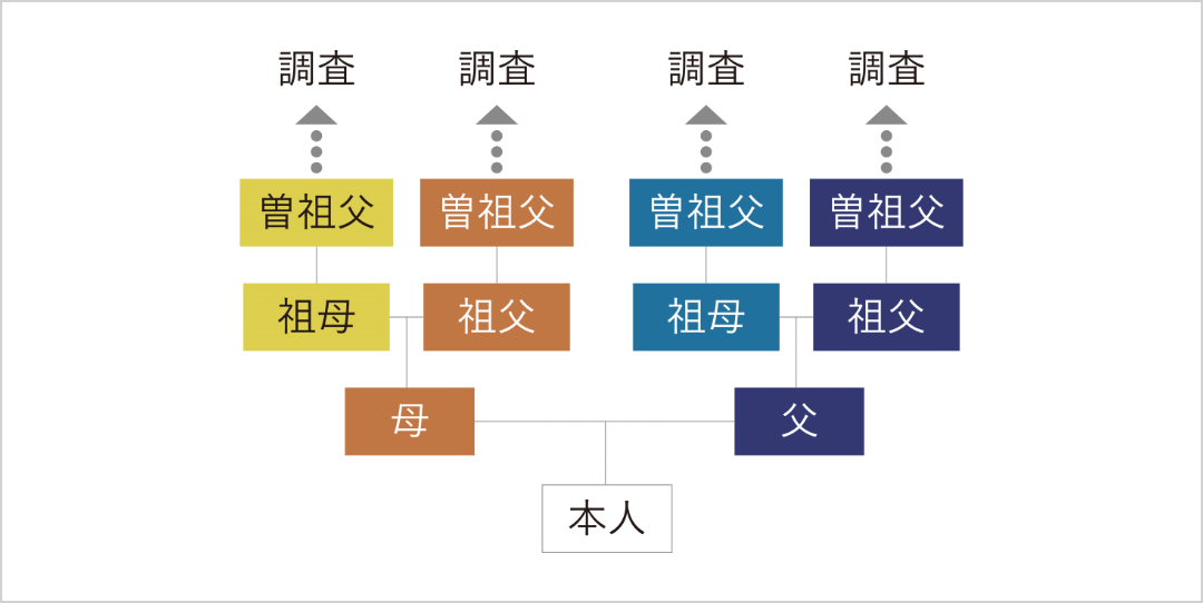 4家系プラン