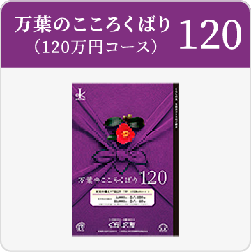 120万円コース