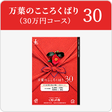 30万円コース
