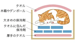 ペットが亡くなった時にするべきこと解説図