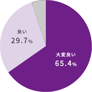 良い：29.7% 大変いい：65.4%