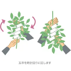 玉串を奉奠する